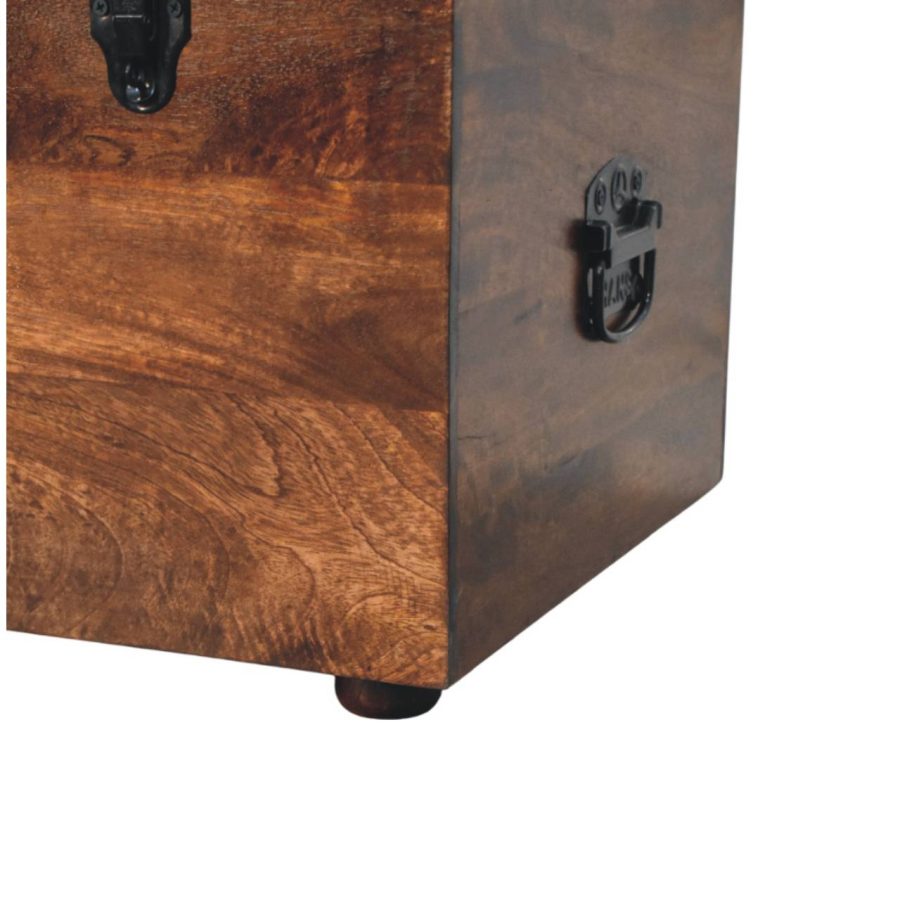 Black Buffalo hide leather Storage Trunk - Image 8