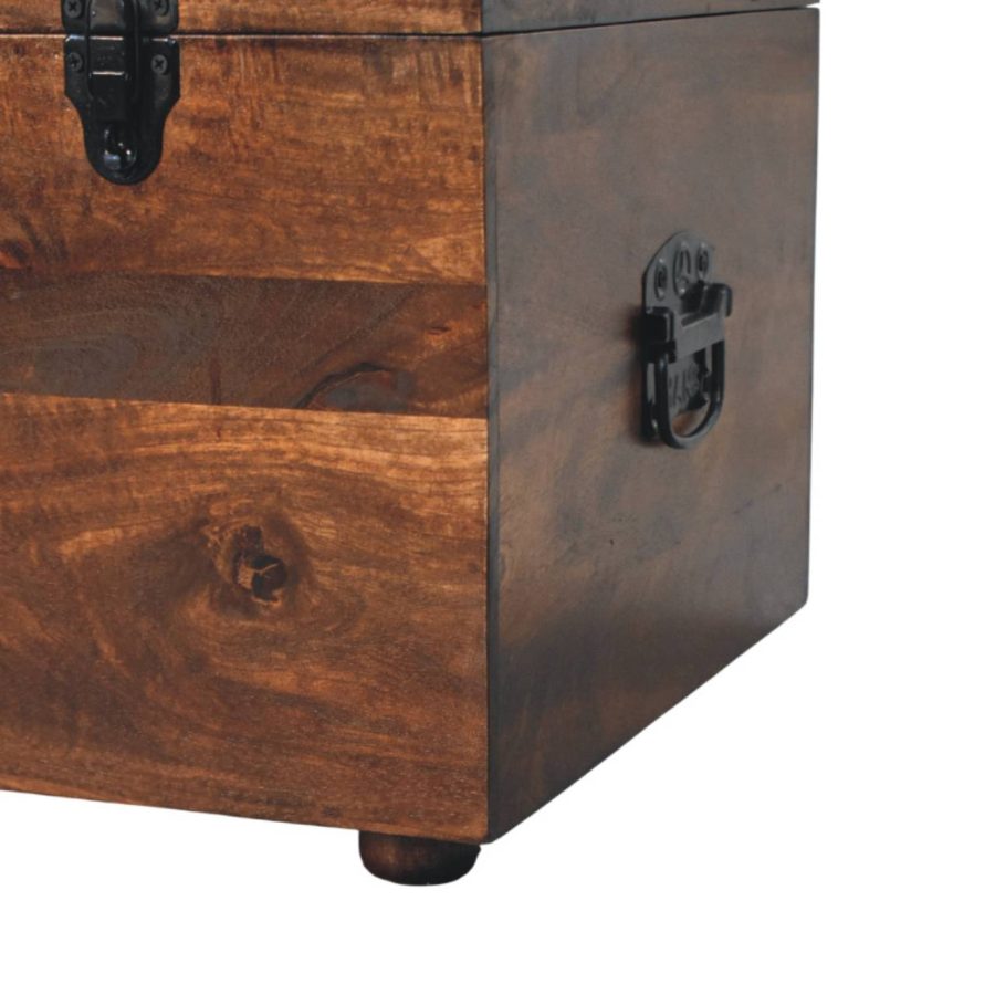 Brown Buffalo hide leather Storage Trunk - Image 9